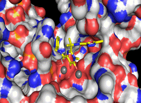 Isentress (Raltegravir) bound to the active site of the integrase-DNA complex